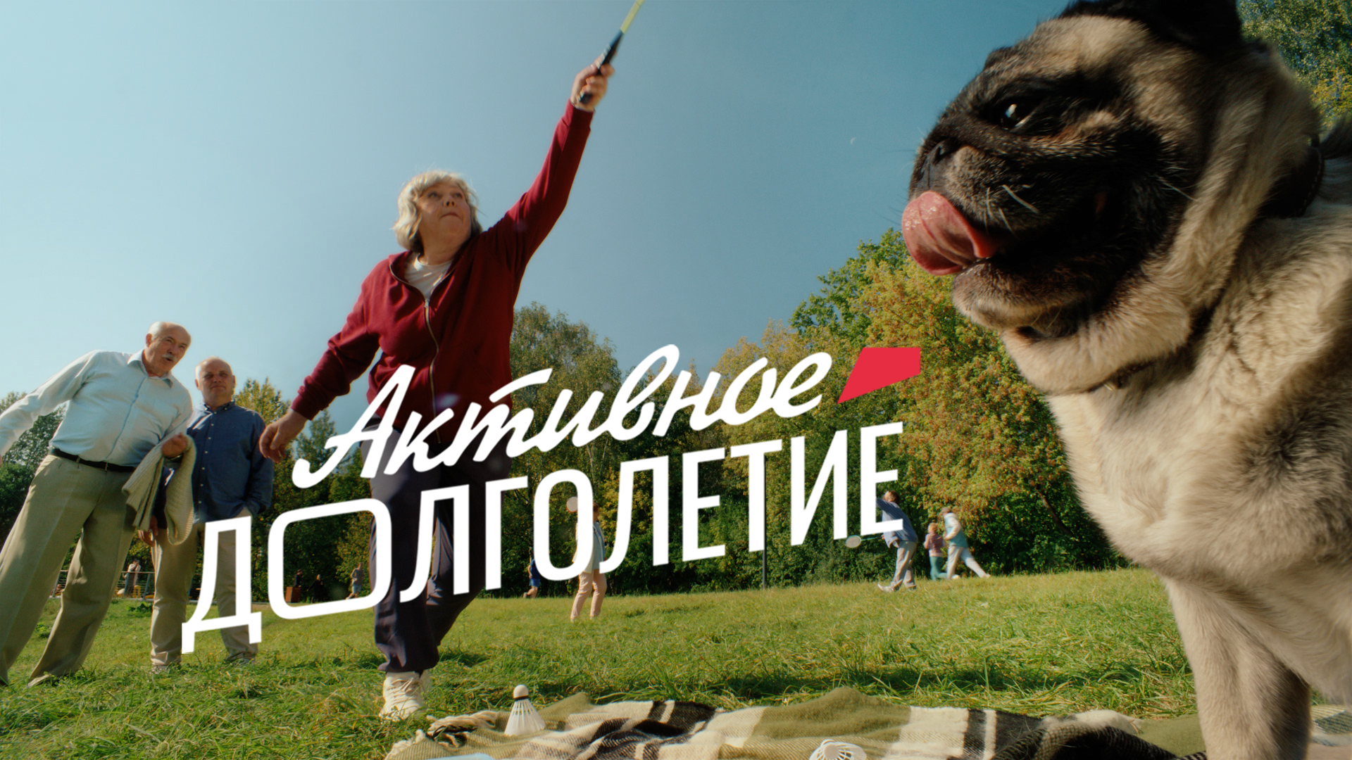 Видеоролик «Неожиданно активное долголетие» с мопсом в главной роли получил награду за лучшую социальную рекламу